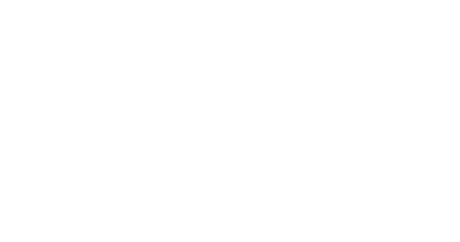 Logo WebTop100